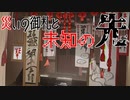 【ポケモンSV】災いの御札と未知の先【チオンジェン】