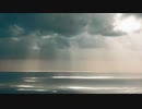 静かな朝のBGM □ 純正律ハープ音楽曲集 _ 夜明けの森の環境音 □