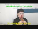 【コメント有】ニンポー 2023年06月25日09時35分 出前館を待ちながら雑談【ニコ生録画】