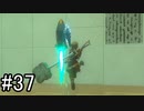 【実況】空の島から始まる新たな冒険【ゼルダの伝説 ティアーズ オブ ザ キングダム】part37