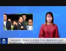 中国共産党、台湾選挙妨害の詳細