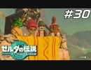 【ティアキン】イチカラ村とエノキダの家族 ゼルダの伝説 ティアーズオブザキングダム Part30【ゲーム実況】