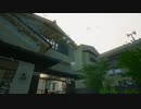 【みーたん】梅雨の日。2023年6月22日