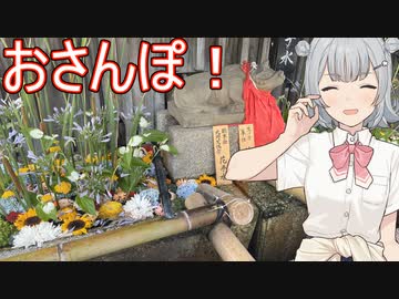 こはる歩こっ花「京都北西のゆるふわ散歩！」【小春六花】