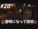 管理人の頼みでとある魔法の置きモノを隠れて回収【ホグワーツ・レガシー】#20