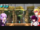 初心者クラフターダウナーマキの露天掘りしたいマイクラ適当プレイ#30