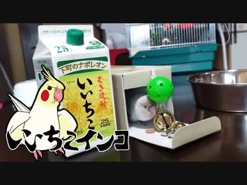 チュン太6月5日の3回目の通院
