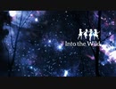 [im@sMAD PSLG powered by グレイカナ] Into the Wild (MAD PV)