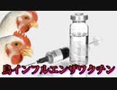 CDCが人間の監視を要求する中、鳥インフルエンザ「ワクチン」が「認可」され「保管」されている