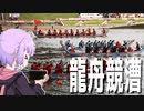 台北の龍舟競漕をボロボロ日本語で見学する【VOICEROID 結月ゆかり】