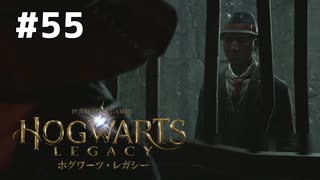 【ホグワーツレガシー】実況動画#55