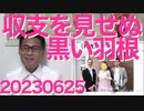 暇空さんによる赤い羽根募金情報開示請求結果が全部真っ黒の衝撃！文書タイトルや日付含む全てが黒塗り＝「私は有罪です」って自白してるよねこれ・・私は一生募金しないと決めました 20230625
