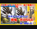 【VOICEVOX解説】オタクくんにやさしい『斑鳩 IKARUGA』は存在した！？【ゲーム紹介#014】