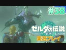 【実況】大空を翔る。ゼルダの伝説ティアーズオブザキングダム 実況プレイ！Part38【ゼルダの伝説TotK】