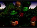 【DK】1-5 タル大砲の谷【101%】