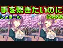 【生徒会戦争】#197　朝からスキンシップを取りたいゆづきに朗報【PRIMAL×HEARTS】