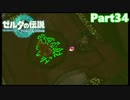【34】ぼっち勇者の天空探検【ゼルダの伝説ティアーズオブザキングダム】