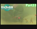 【33】ぼっち勇者の天空探検【ゼルダの伝説ティアーズオブザキングダム】