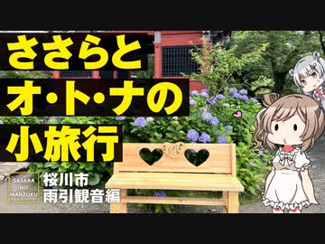 【あじさい＆中華ランチ】雨引観音へ行ってきました【CeVIO旅行/ささらのまんぞく】