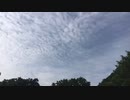 ぶらり散歩　#138　2023/6/24
