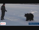 ホモと見る　かわいい熊さん　