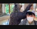 加瀬ちゃんとざらしの北海道 道の駅 制覇の旅 2023  ⑭【7日目　ひがし大雪自然館→ナイタイ高原牧場→㉓道の駅　かみしほろ→㉔ピア21しほろ】