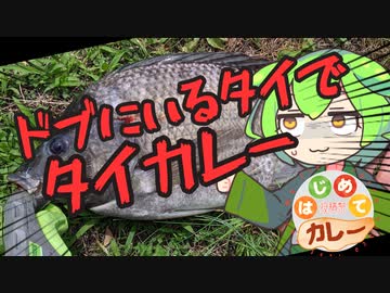 お腹がすいたらティラピアタイカレー！【はじめてカレー投稿祭】