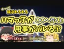 【ゆっくり解説】横浜あるある〖文化編〗ハマっ子が大人の階段を上るために行く〇〇とは!? 横浜旅行の前に必見！