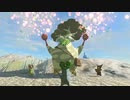 【実況】ハイラルソードTK　その8