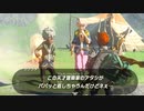 (ティアキン) ゼルダを探す旅part29  ウオトリー村 【ゼルダの伝説ティーアズオブザキングダム The Legend of Zelda Tears of the Kingdom 】