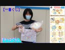 【一番くじ】すみっコぐらし_こいぬといぬごっこテーマに挑戦するあい❤念願のC賞をGETしました✨