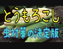 とうもろこし の虫対策