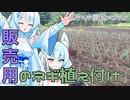2023年6月26日　農作業日誌P672　販売用のネギの植え替えを行いつつ、苗畑のリセットをしたよ