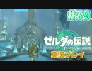【実況】大空を翔る。ゼルダの伝説ティアーズオブザキングダム 実況プレイ！Part39【ゼルダの伝説TotK】