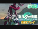 【実況】大空を翔る。ゼルダの伝説ティアーズオブザキングダム 実況プレイ！Part40【ゼルダの伝説TotK】