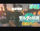 【実況】大空を翔る。ゼルダの伝説ティアーズオブザキングダム 実況プレイ！Part43【ゼルダの伝説TotK】