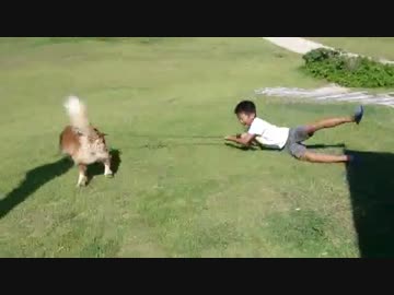 ホモと見る少年を散歩に連れて行く犬