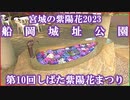 【宮城の紫陽花2023】第10回しばた紫陽花まつり 船岡城址公園 2023/06/26