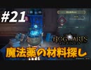 魔法薬の課題で材料そろえるの以外に大変！【ホグワーツ・レガシー】#21