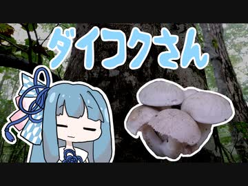 【A.I.VOICEキッチン】採取したキノコを食べる葵ちゃん　ハイエンド