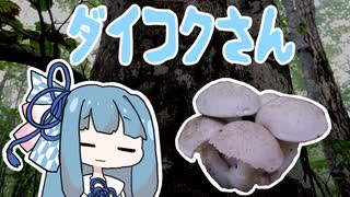 【A.I.VOICEキッチン】採取したキノコを食べる葵ちゃん　ハイエンド