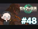 【実況プレイ】 ゼルダの伝説 ティアーズオブザキングダム part48 【いちご大福】