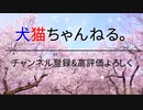 【ネタ】渋谷に参上！犬猫ちゃんねる。