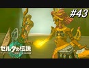 【ティアキン】ルージュ様、もうプロの顔つきじゃん【ゼルダの伝説 ティアーズ オブ キングダム】実況プレイ part43