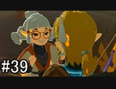 【実況】空の島から始まる新たな冒険【ゼルダの伝説 ティアーズ オブ ザ キングダム】part39