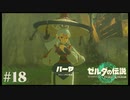 【ゼルダの伝説 Tears of the Kingdom】パヤパヤパーヤ【実況】#18