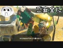 【実況】ティアーズオブザキングダムでご安全に！PART5【ゼルダの伝説】