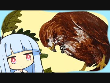 葵とねずみちゃん 森林３