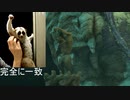 息抜きティアキンpart12
