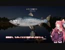 茜お姉ちゃんが川釣りのバイトをする話　2023：6月号